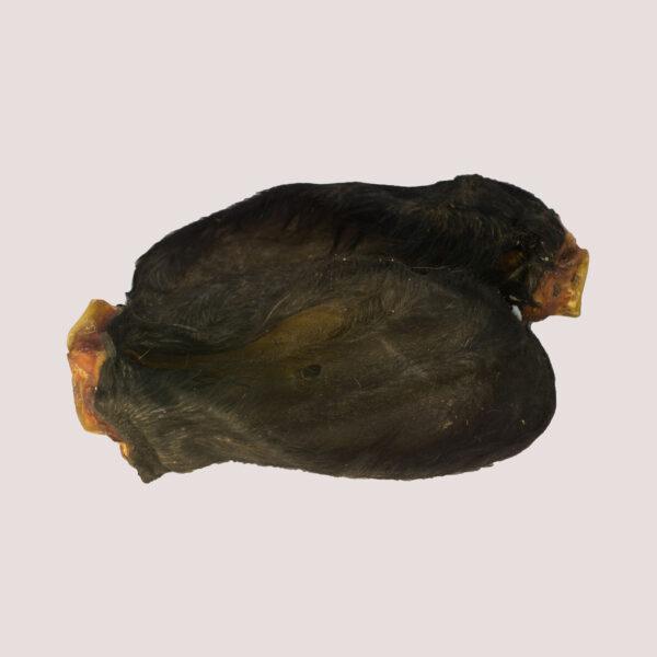 Dried Furry Cow Ear x 1