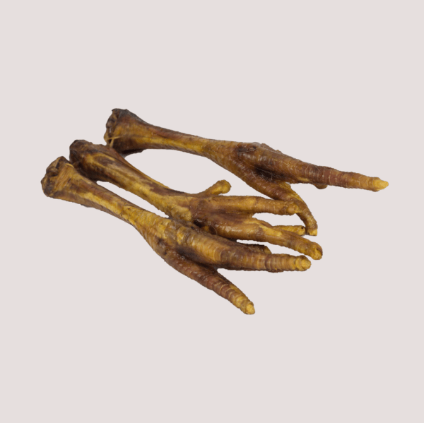 Dried Turkey Foot