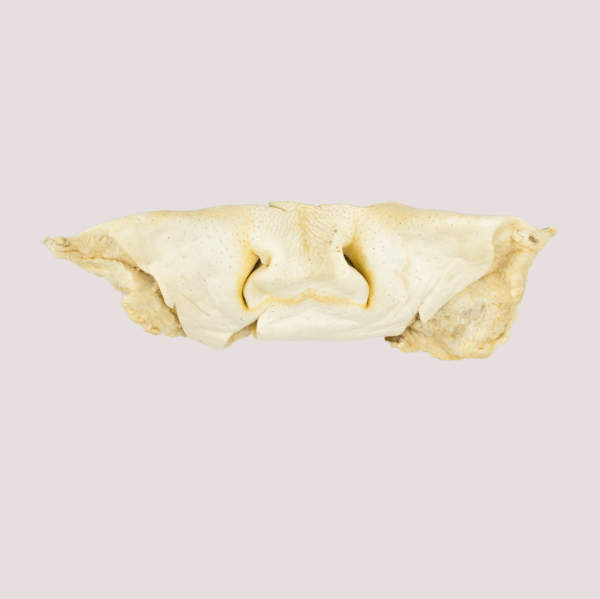 Puffed Beef Noses 250g