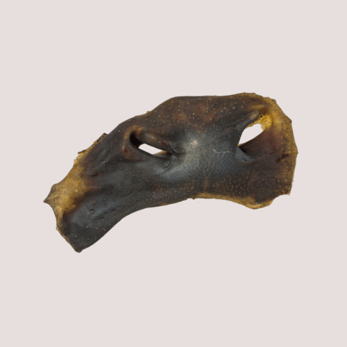Dried Beef Noses