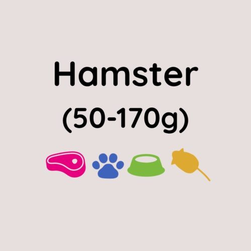 Kiezebrink Large Rats x5 (250-350g)