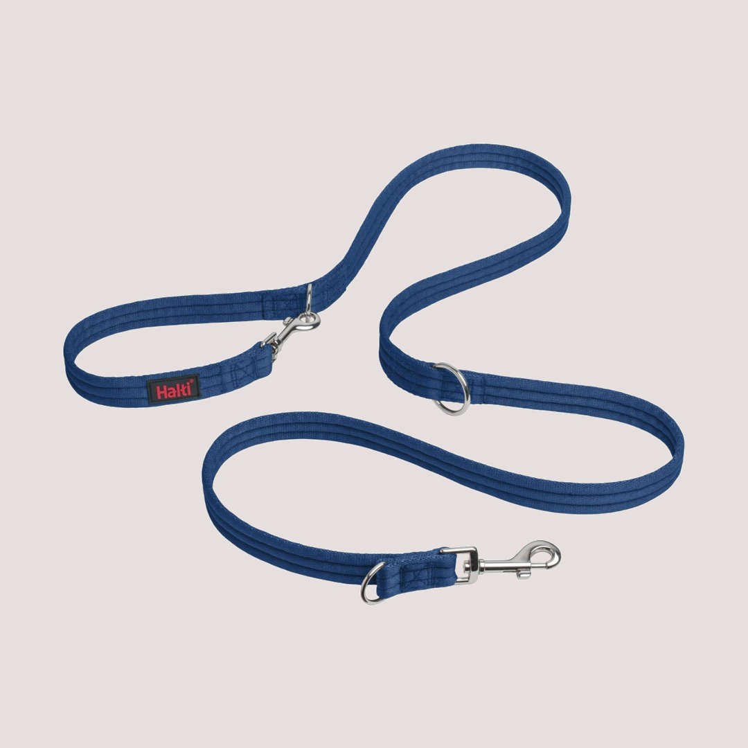 Halti Training lead blue