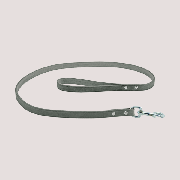 Earthbound Leather Lead