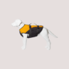 Stunt Puppy Float Doggy™