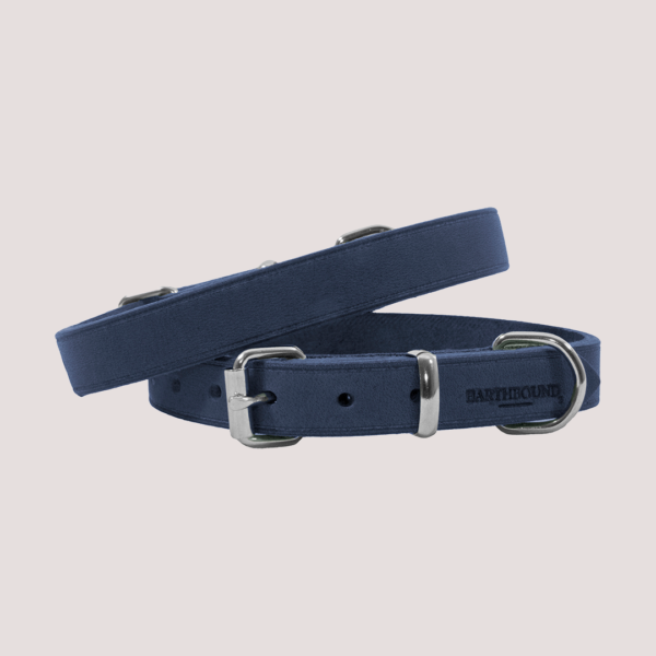 Earthbound Leather Collar