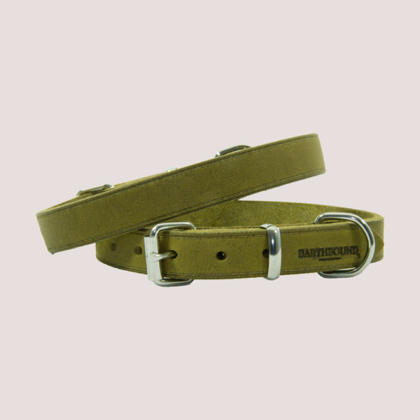 Earthbound Leather Collar