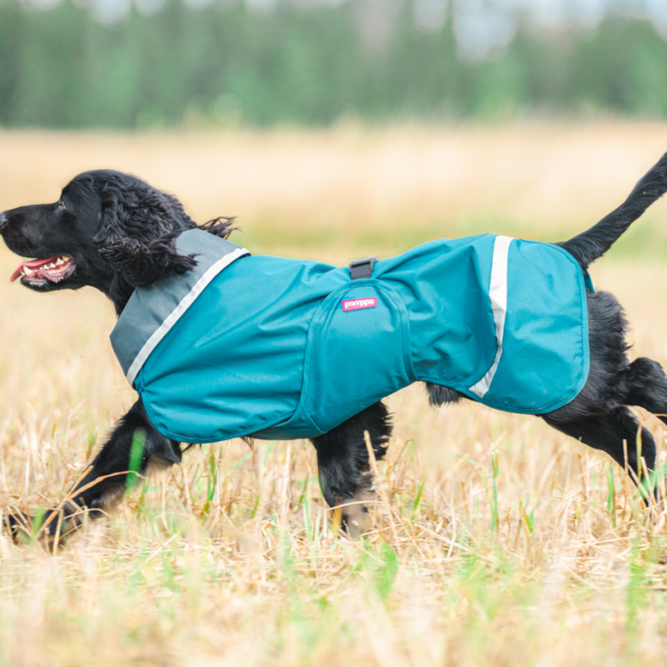 Pomppa Sade Water-resistant Dog Coat