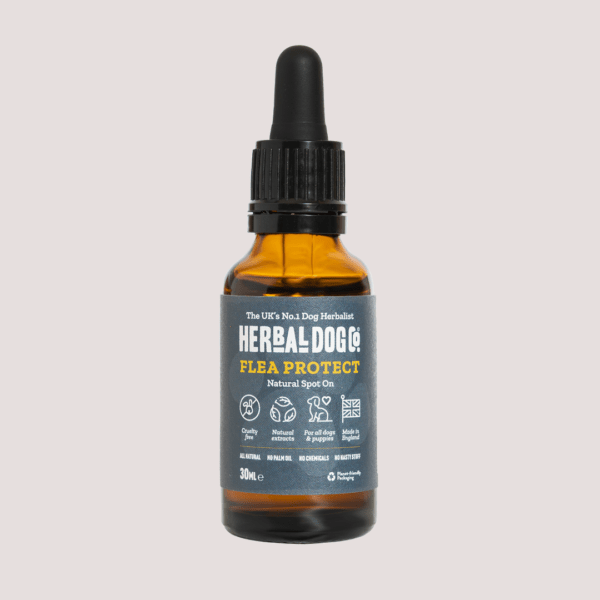 Herbal Dog Co. Flea Protect For Dogs 30ml