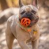 Chuckit! Air Ball