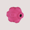 Trixie Activity Snack Ball