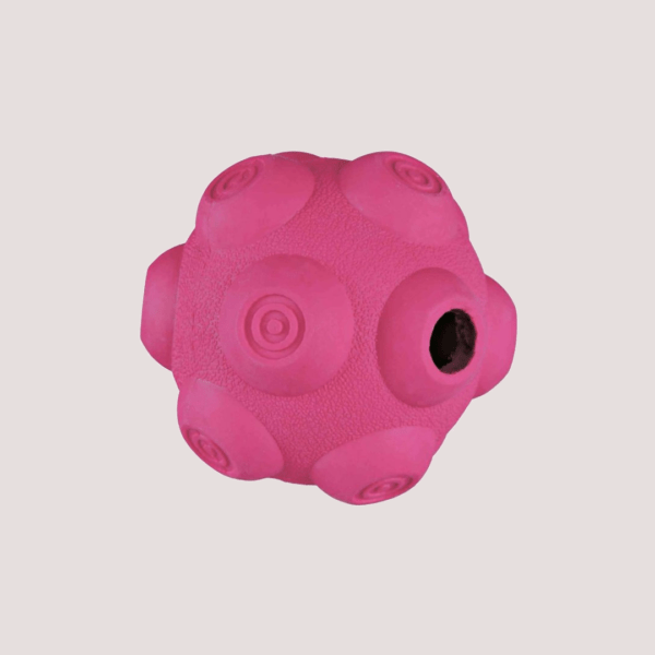 Trixie Activity Snack Ball