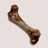 JR Ostrich Bone
