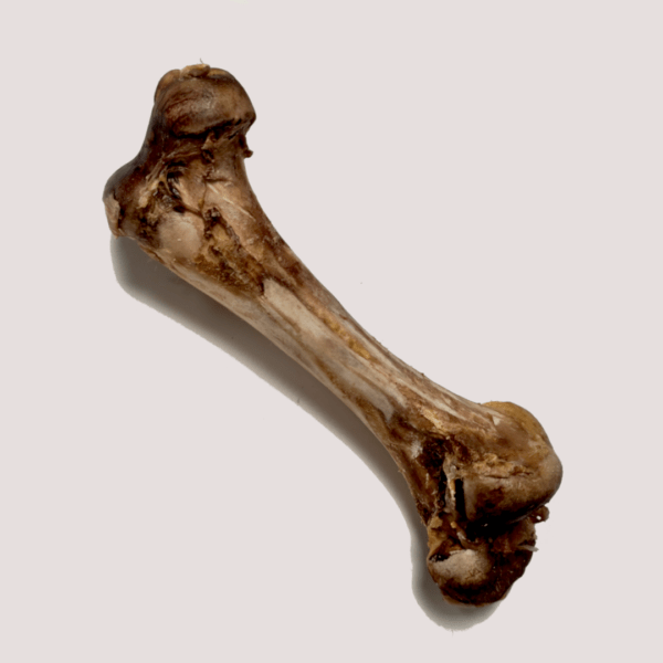 JR Ostrich Bone