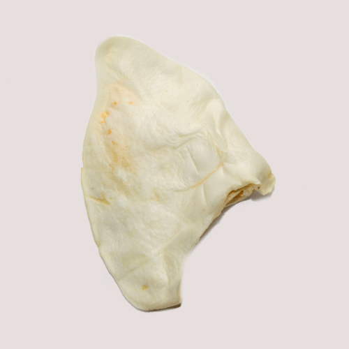 Puffed Pig Ear x 1