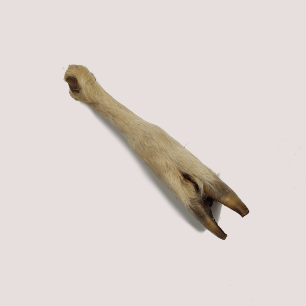 Dried Lamb Furry Feet