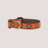 Up Country Sedona Dog Collar