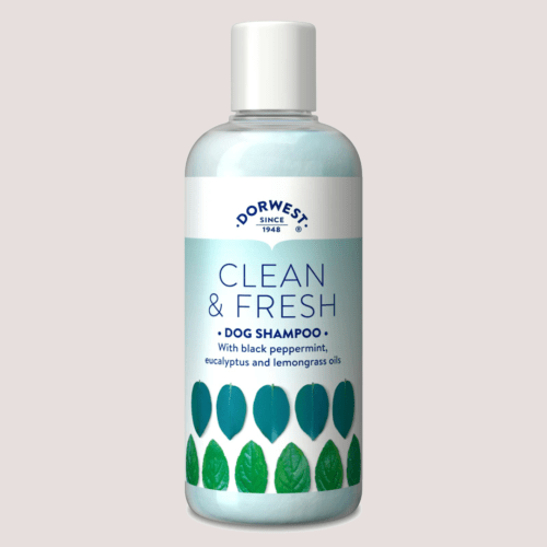 Dorwest Clean & Fresh Shampoo