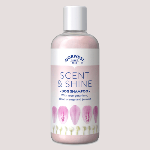 Dorwest Scent & Shine Shampoo
