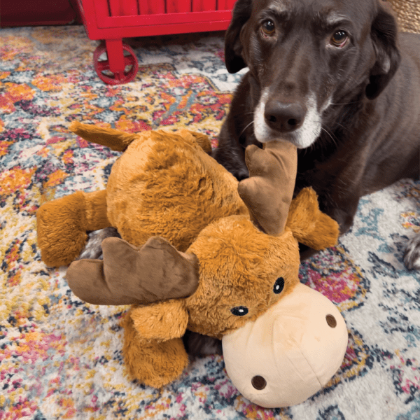 KONG Cozie Jumbo Marvin Dog Toy