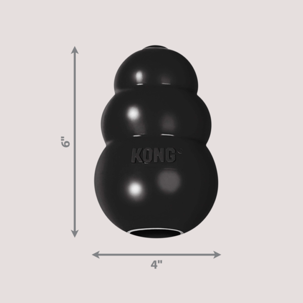 KONG Extreme Dog Toy