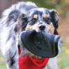 KONG Extreme Flyer Dog Toy