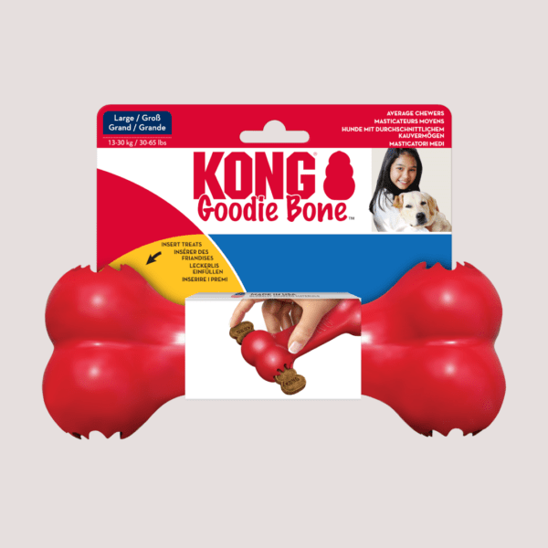 KONG Goodie Bone Dog Toy
