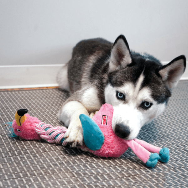 KONG Knots Twists Dog Toys