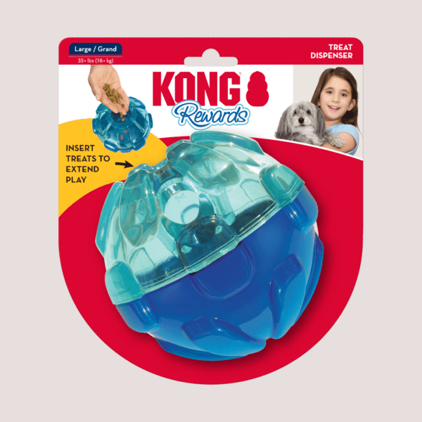 KONG Rewards Ball Dog Toy