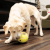 KONG Rewards Tennis Ball Dog Treat Dispenser