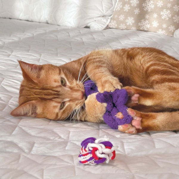 KONG Cat Active Rope Toy – Red & Purple