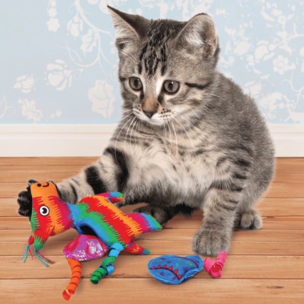 KONG Pull-A-Partz Pinata Cat Toy