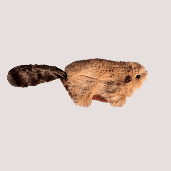 KONG Refillables Beaver Cat Toy Healthy Pet Store