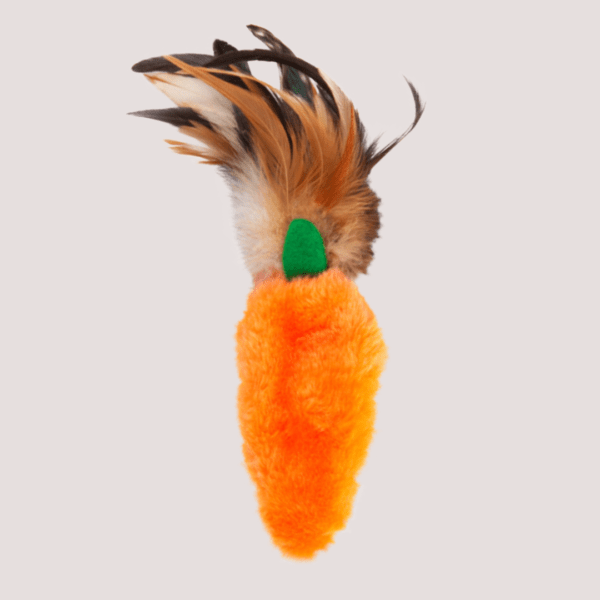 KONG Refillables Carrot Cat Toy Healthy Pet Store