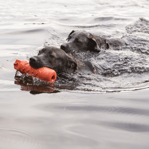KONG Training Dummy Dog Toy