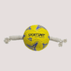 Sportspet Football