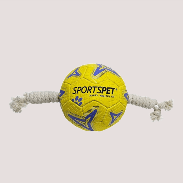 Sportspet Football