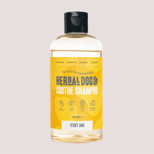 Herbal Dog Co Itchy Dog Shampoo 250ml