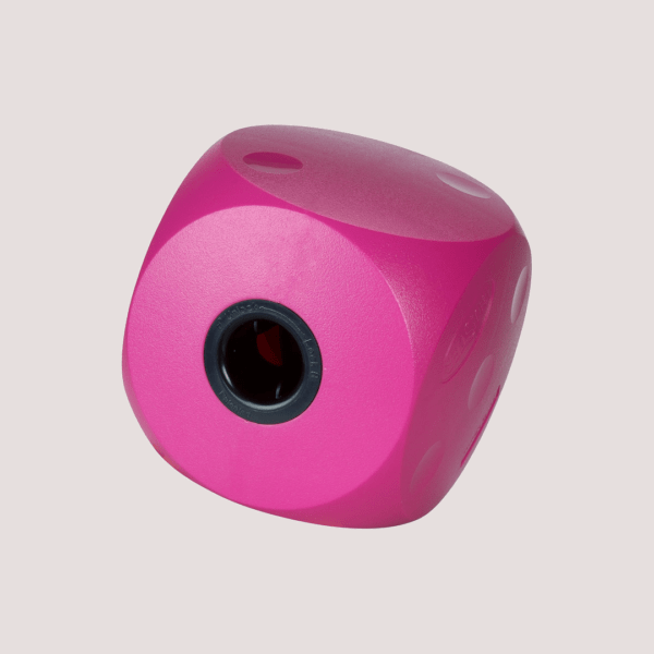Buster Bright Pet Puzzle Cube