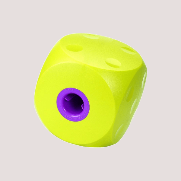 Buster Bright Pet Puzzle Cube