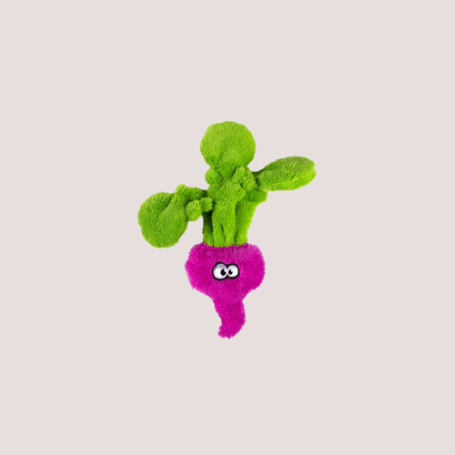 Cycle Dog Radish