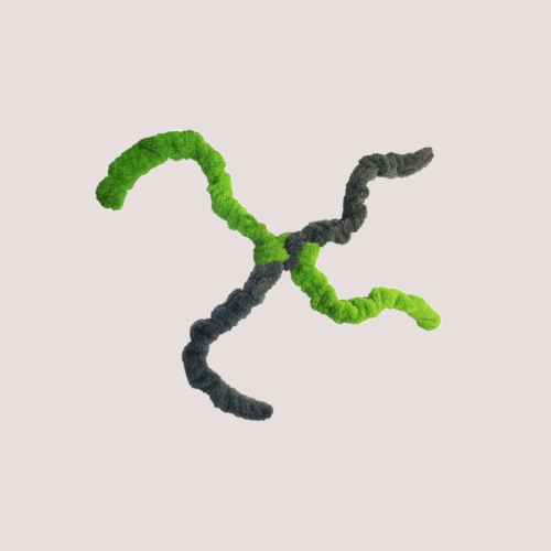 CycleDog Springy Thing Dog Toy