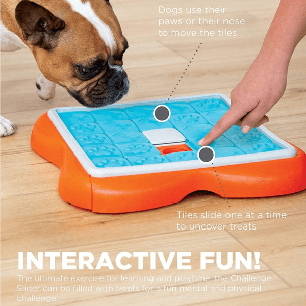 Outward Hound Nina Ottosson Slider Level 3 Dog Puzzle