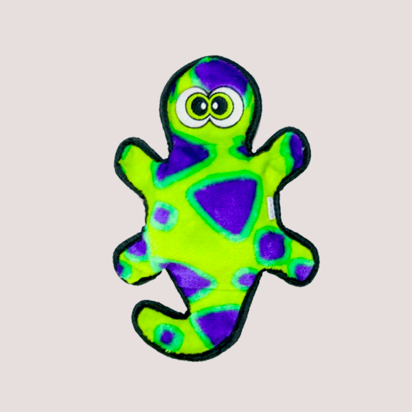Outward Hound Invincible Gecko