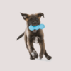 West Paw Rumpus