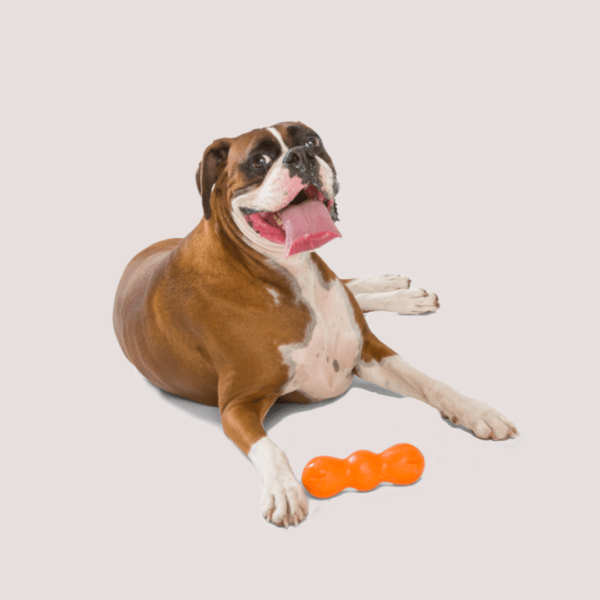 West Paw Rumpus
