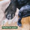 Beco Bamboo Wipes Unscented