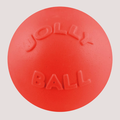 Jolly Pet Ball