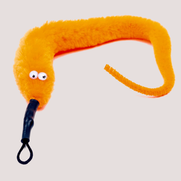 Purrs In Our Hearts Wiggly Worm Clip On