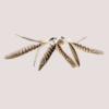 Purrs In Our Hearts Whirly Flyerspin Clip On