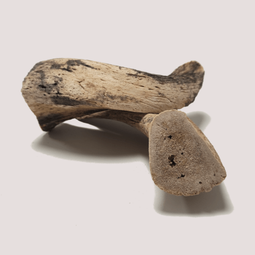 Dried Lamb Horn Marrow